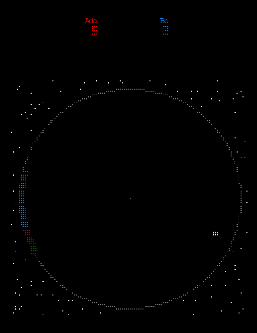 Circle Pong — a match in progress